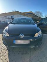 Volkswagen VW Golf 7 1.4 TSI CUP | Baujahr 2014 | Fah... - Volkswagen Golf: V Baujahr