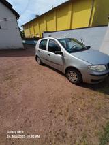 Fiat Punto 1.2 8V - - Fiat Punto in Saarbrücken