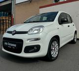 Fiat Panda Easy - Fiat Panda Gebrauchtwagen in Nürnberg