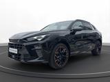 Cupra Terramar 1.5 e-Hybrid DSG VZ | PANO | NAVI | - Cupra Terramar Plug-in Hybrid (PHEV) Gebrauchtwagen