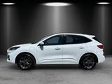 Ford Kuga 2.5 PHEV ST-Line X Aut./LED/ACC/KAMERA/PANO - Ford: Allradantrieb