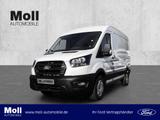 Ford Transit 350 L2H2 Trend 130PS Laderaumschutz Airb - Ford Transit: Laderaum