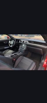 Ford Mustang 2.3 EcoBoost Auto -Unfallfrei,19 Zoll, - Ford Mustang: Ecoboost