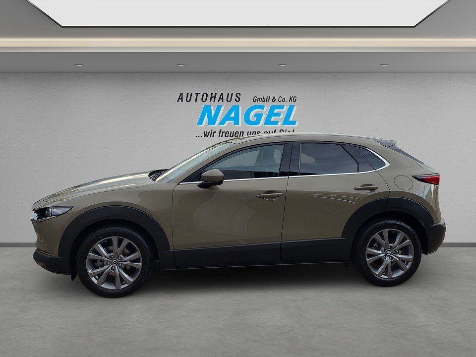 Mazda CX-30 - Bild 4