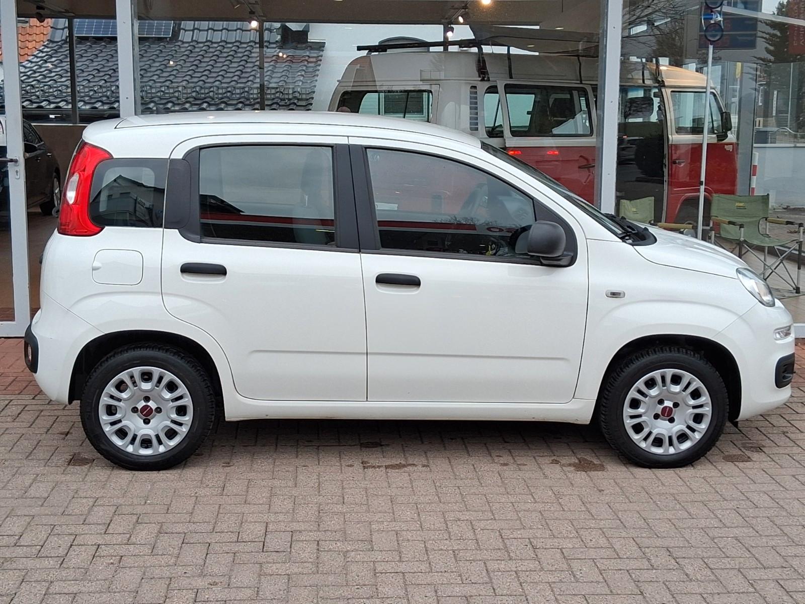 Fiat Panda Easy