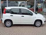 Fiat Panda Easy - gebrauchte Fiat Panda aus dem Jahr 2019