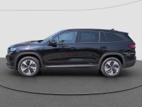 Skoda Kodiaq - Vorschau Bild 5