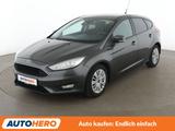 Ford Focus 1.0 EcoBoost Business*NAVI*TEMPO*PDC* - Ford Focus Gebrauchtwagen in Hannover