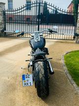 Harley-Davidson Softail - HARLEY-DAVIDSON 2005
