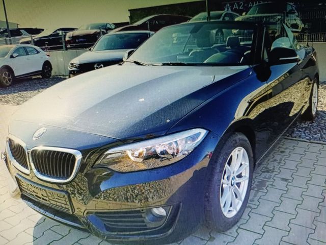 BMW 218i Cabrio Luxury Line Navi Leder Windschott !