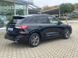 Ford Kuga ST-Line X Panorama Technologie Paket Winter - Ford Kuga Jahreswagen