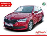 Skoda Fabia 1.0 MPI Cool Plus Klima Sitzheizung PDC - Skoda Fabia: Rot
