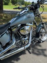 Harley-Davidson Softail Custom - Offers