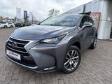 Lexus NX 300h Executive Line **NAVI/LEDER** - Lexus: Nx
