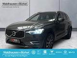 Volvo XC60 T5 2WD Inscription Klima Navi Leder - Volvo XC60: Grau, Head-Up Display