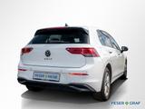 Volkswagen Golf Life 1,5 BT096 TSIM6F - Volkswagen Golf mit Benzin-Antrieb: 1.6