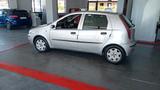 Fiat Punto 1.3 Multijet 16V 5 porte Actual - Fiat Punto: Actual