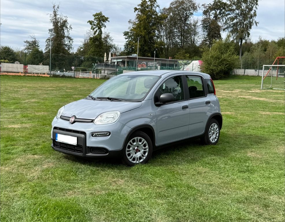 Image of Fiat Panda
