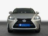 Lexus NX 300h E-FOUR Executive - Lexus: Nx