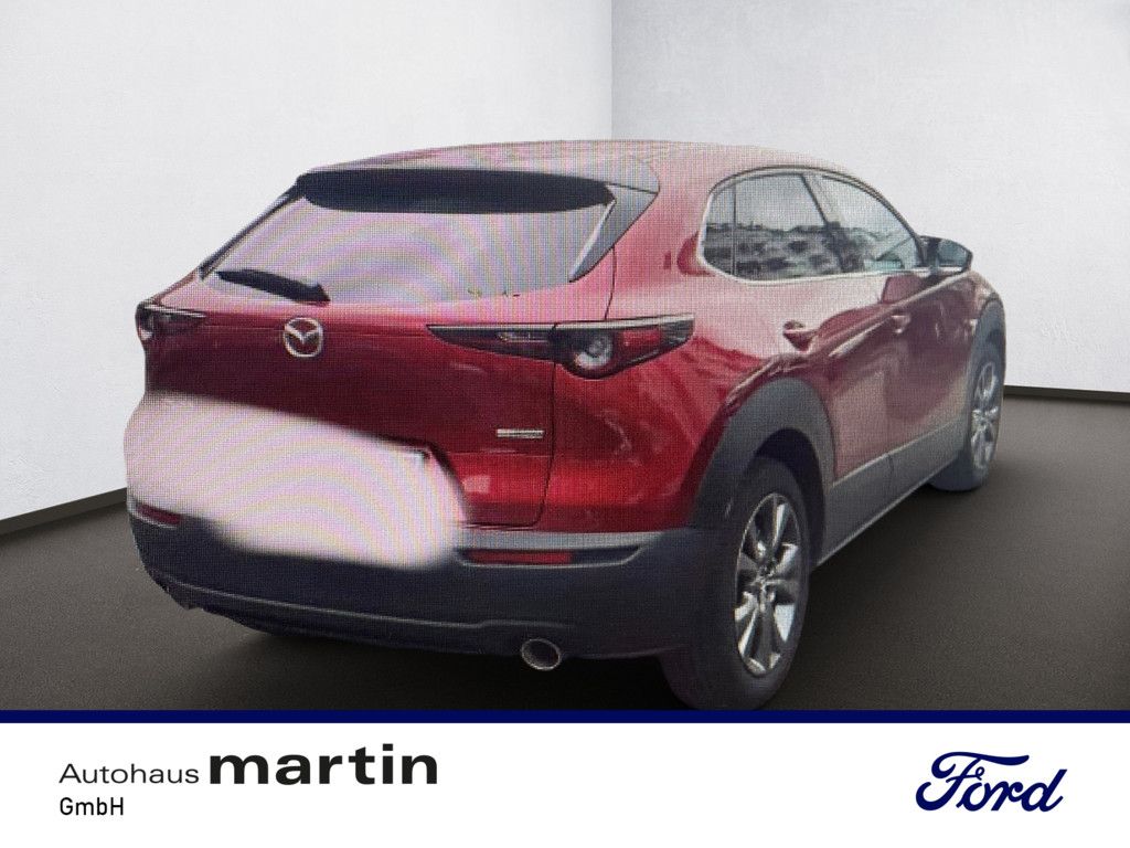 Fahrzeugabbildung Mazda CX-30 2.0 Selection 2WD HUD AID MATRIX-LED 360°