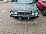 Jaguar XJ40 - Jaguar XJ40 mit Benzin-Antrieb