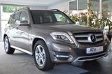 Mercedes-Benz GLK 250 BlueTEC 4MATIC *AHK*Xenon* - Mercedes-Benz GLK 250: Bluetec