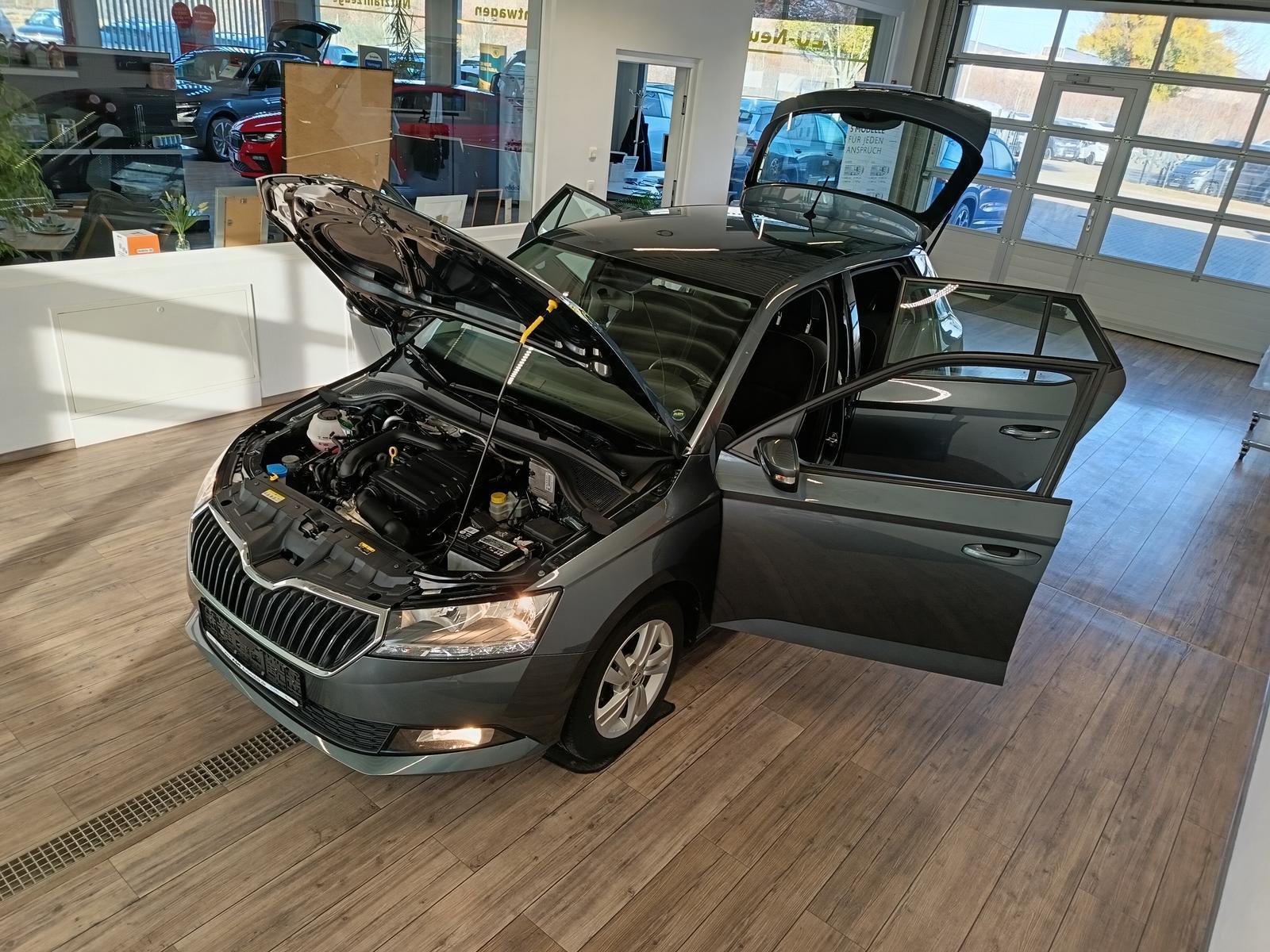 Skoda Fabia Ambition 1,0TSI+SHZ+PDC+DAB+R-KAM+SMARTLIN
