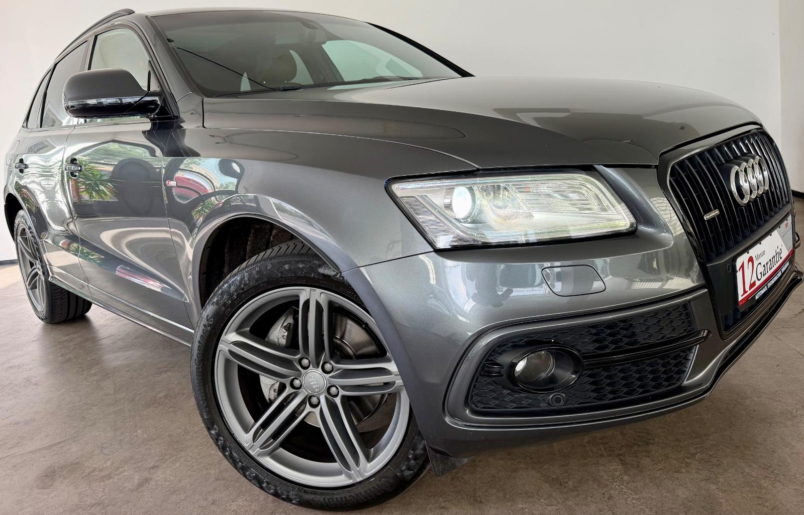 Audi Q5 3.0 TDI quattro S-Line Panorama Kamera Xenon
