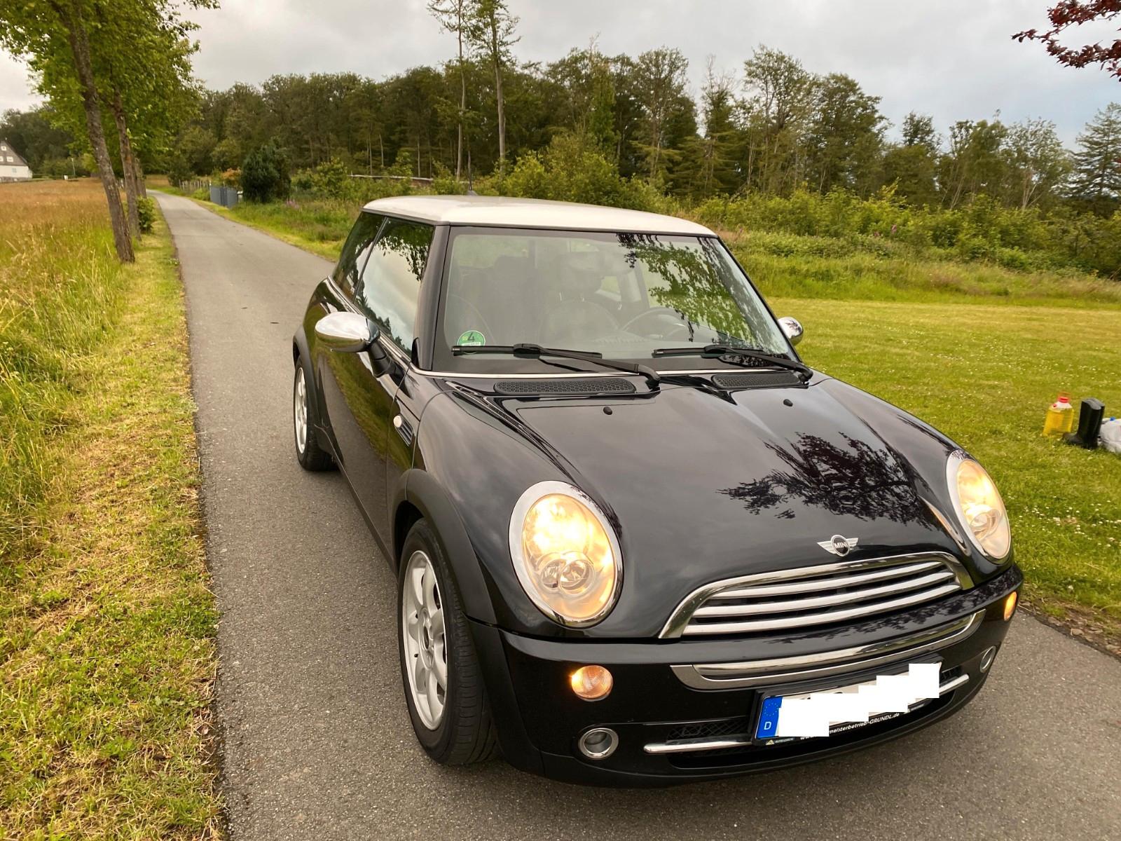 MINI COOPER Mini Cooper+Plollagerschaden