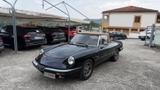 Alfa Romeo Spider 1.6 - gebrauchte Alfa Romeo Spider aus dem Jahr 1986