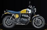 Royal Enfield Bear 650 Wild Honey - Vorführfahrzeug - Royal Enfield Bear 650
