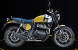 Royal Enfield Bear 650 Wild Honey - demnächst verfügbar - Angebote entsprechen deinen Suchkriterien