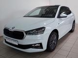Skoda Fabia Selection 1.0 TSI | LED RFK ACC Pano Navi - Skoda Fabia: R