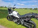 Triumph Tiger 900 low abgepolstert  - Offers