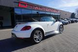 Volkswagen Beetle Cabriolet 1.4 TSI BMT R-Line Klima Xenon - gebrauchte Volkswagen Beetle aus dem Jahr 2018