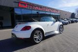 Volkswagen Beetle Cabriolet 1.4 TSI BMT R-Line Klima Xenon - Volkswagen Beetle aus 2018