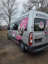 Opel Movano B Kasten/Kombi HKb L2H2 3,3t Combi - Opel Movano: L2h2
