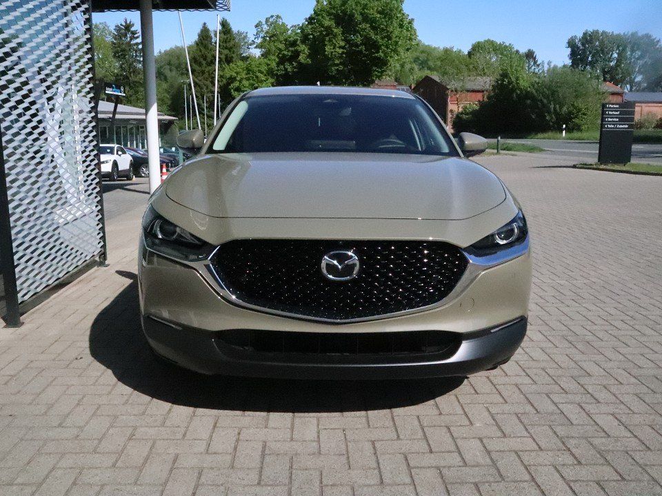 Fahrzeugabbildung Mazda CX-30 2025 M-Hybrid Exclusive-Line G-140 AT NAVI