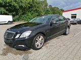 Mercedes-Benz E 250 CDI  Avantgarde 10000Netto BlueEF Leder - Mercedes-Benz E 250: Cdi Avantgarde