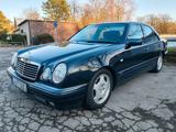 Mercedes-Benz Mercedes w 210 e 240, Avantgarde Austtatun... - Mercedes-Benz E-Klasse W210 mit Benzin-Antrieb