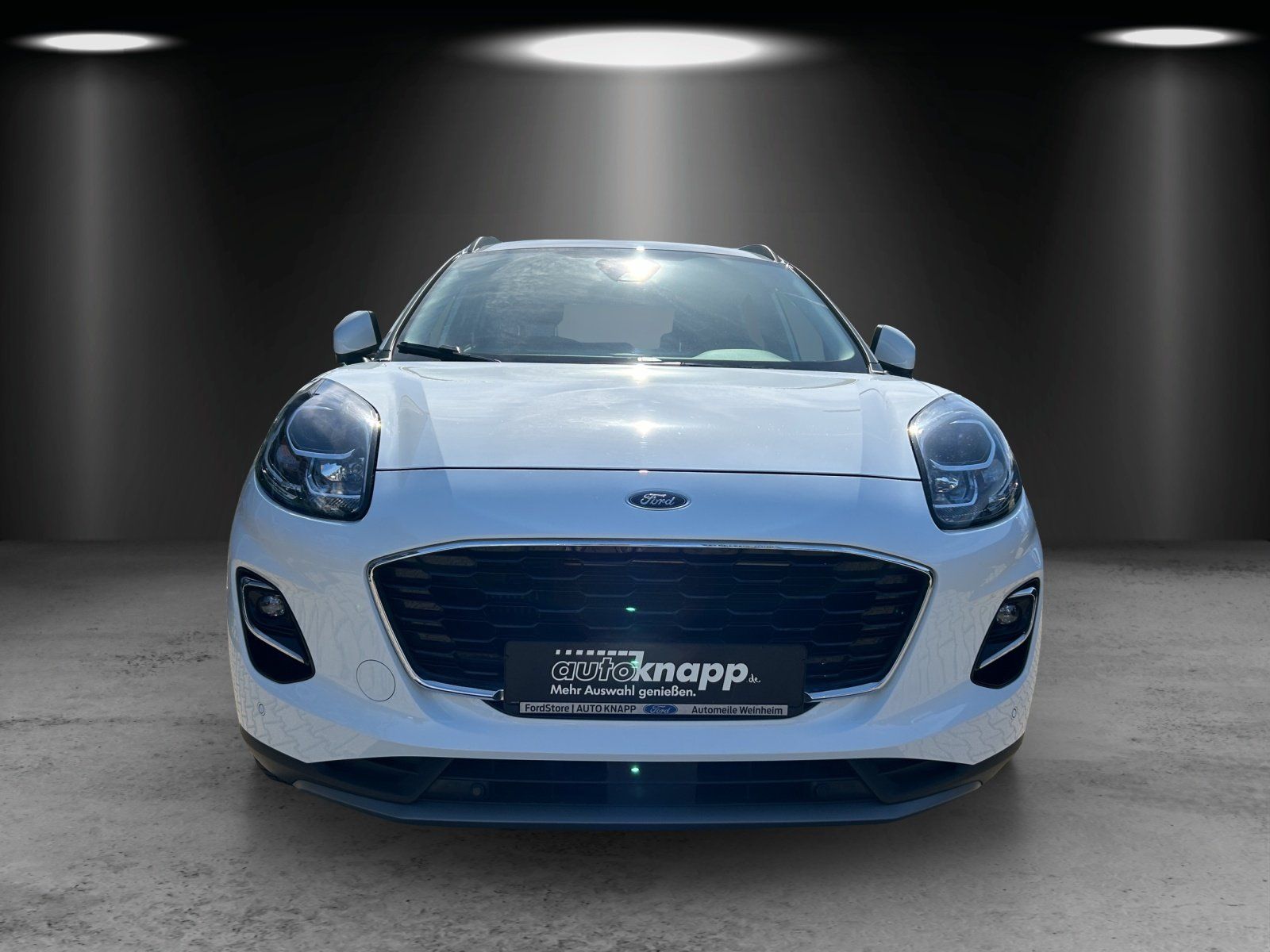 Fahrzeugabbildung Ford Puma Titanium X MHEV Navi Winter Paket PDC