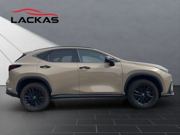 Lexus NX 350h - 6