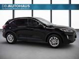 Ford Kuga Titanium 2.5 DuraTec Allrad AHK Winter-Pake - Ford Kuga: Allradantrieb, 2.5