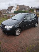Fiat Punto 1.2 8V - - Fiat Punto aus 2004: 1.2