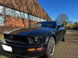 Ford Mustang 4.0 V6 | 77.000km | Unfallfrei  - Ford Mustang aus 2006: Coupe
