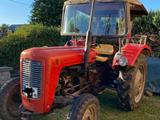 Massey Ferguson FE 35 - Massey Ferguson Schlepper