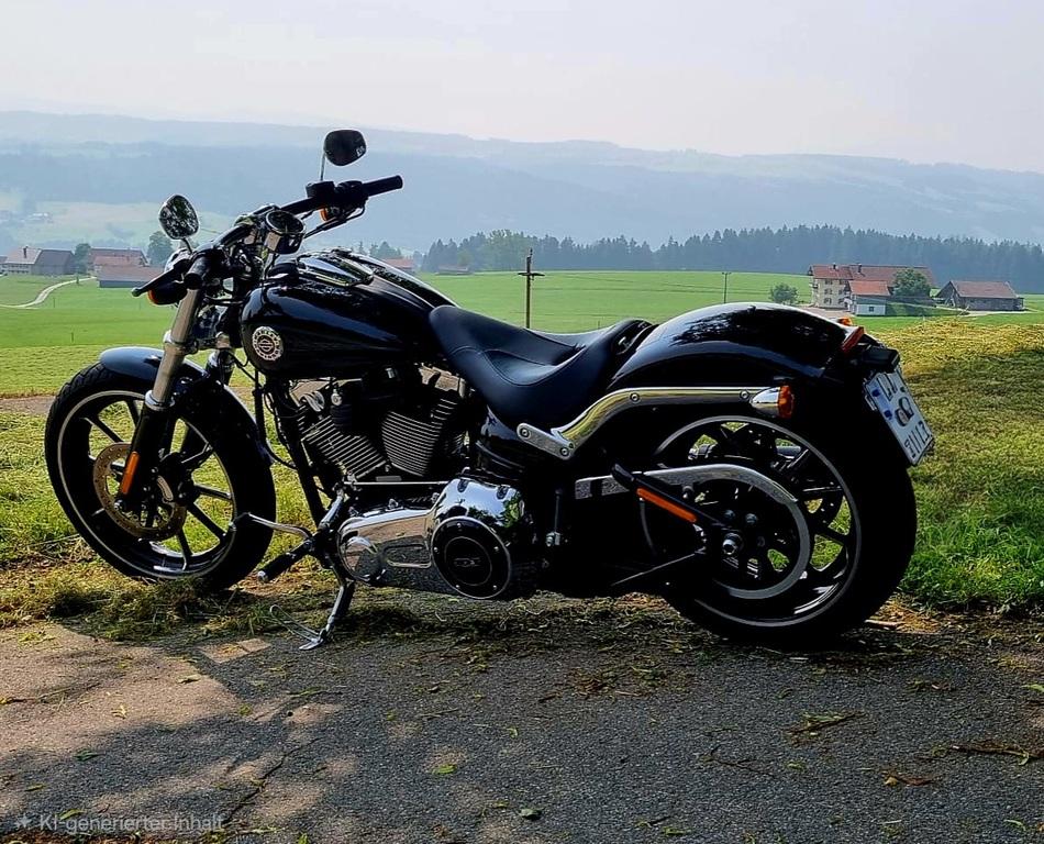 Harley-Davidson BREAKOUT 