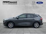 Ford Kuga ST-Line X / PHEV / 225PS / IACC / B&O Sound - Ford Kuga mit Halbautomatikschaltung