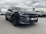 Cupra Terramar 2.0 TSI 4Drive VZ *Matrix-LED*HuD*Pano* - Cupra Terramar Jahreswagen