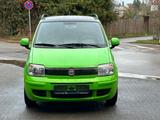 Fiat Panda 1.2 8V Dynamic - Fiat Panda in Ludwigshafen